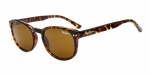 Очки Pepe Jeans PJ7094C450 фото