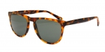 Очки Hackett HSB834127 фото
