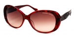 Очки Christian Lacroix CL5036115 фото
