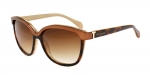 Очки Ted Baker Aitana 1281 106 фото