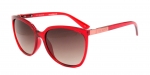 Очки Ted Baker Biotime 1310 246 фото