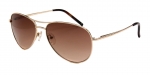 Очки Ted Baker Carter 1166 402 фото
