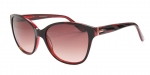 Очки Ted Baker Glase 1322 205 фото