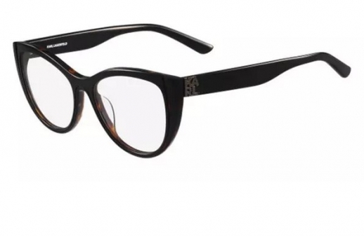 Оправа Karl Lagerfeld KL 913 123 фото