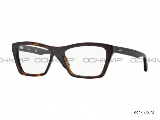 Оправа Ray-Ban RX-5316-2012-53 фото