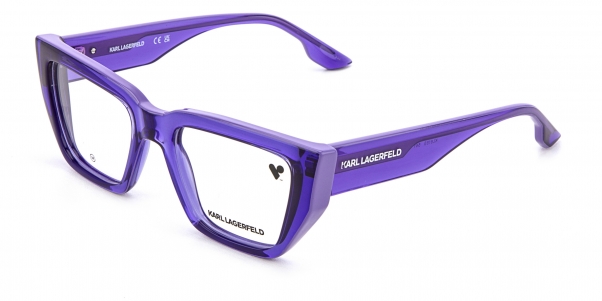 Оправа Karl Lagerfeld KL 6153 541 фото
