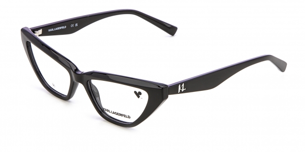 Оправа Karl Lagerfeld KL 6175 001 фото