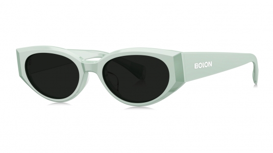 Очки BOLON BX 3000 C80 фото