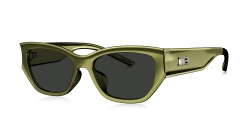 Очки BOLON BX 5008 A80 фото