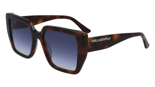 Очки Karl Lagerfeld KL 6036S 215 фото
