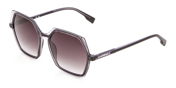 Очки Karl Lagerfeld KL 6083S 009 фото