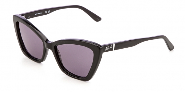 Очки Karl Lagerfeld KL 6105S 001 фото