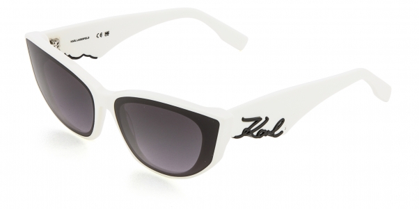 Очки Karl Lagerfeld KL 6162S 105 фото