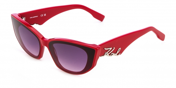 Очки Karl Lagerfeld KL 6162S 600 фото