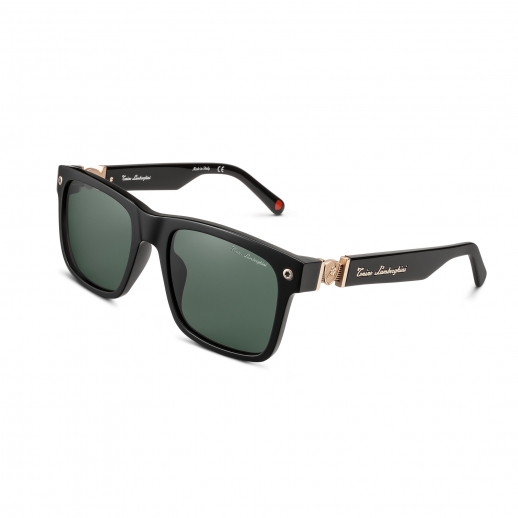 Очки Tonino Lamborghini TL545-02 фото